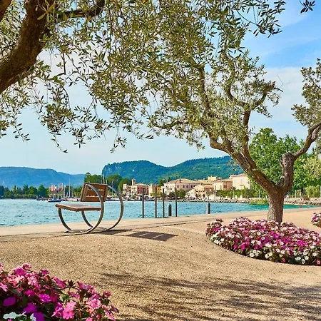 Agave Bloom - Relax Between Verona E Garda Salionze